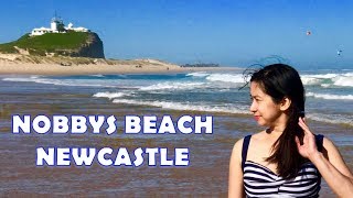 Nobbys Beach Newcastle NSW Australia [upl. by Yeca]