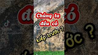 Chúng ta đều có kiếp trước Sách “Muôn kiếp nhân sinh” sẽ giúp bạn hiểu được đều đósachhay [upl. by Grantley]