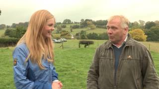 Sheepdog Trial A Way with Dogs Grand Final [upl. by Fernandina]