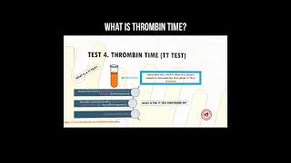 What is thrombin time test thrombin [upl. by Shelbi]