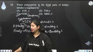 Water reabsorption in the distal parts of kidney tubules is regulated by [upl. by Nnaylloh]