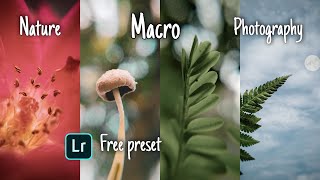 Top 5 easy nature macro photography ideas in 2021 [upl. by Enyedy]