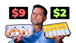 Are Expensive Eggs Really Worth It [upl. by Corty]