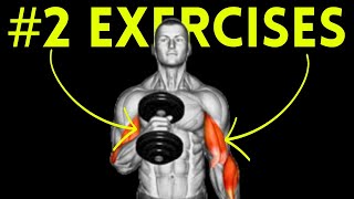 Blow Up Your Biceps 2 EFFICIENT Exercises for Massive Arm Growth [upl. by Rod732]