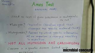 Ames test [upl. by Zela]