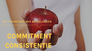 Verleid jouw collegas tot het steunen van je plan  De 7 principes van beïnvloeden [upl. by Eintirb]