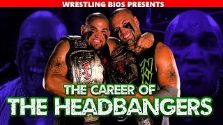 The Career of The Headbangers [upl. by Airamat]