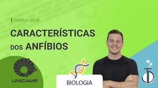 Características dos ANFÍBIOS  Biologia  Unicamp [upl. by Aisinut]