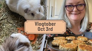 Vlogtober October 3rd Making WW2 Mock Black Pudding and Meet My Guinea Pigs [upl. by Naujd]