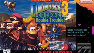 73  Donkey Kong Country 3  Rockface Rumble [upl. by Torto]