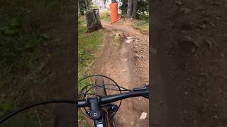 Best Moments with Trek Bike mtb mountainbike mountainbikelife [upl. by Vitale]