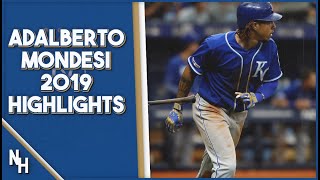 Adalberto Mondesi 2019 Highlights [upl. by Marietta]