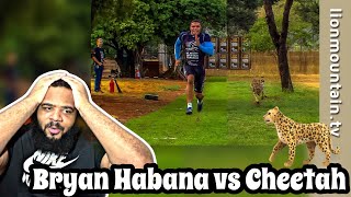 Bryan Habana vs Cheetah 🐆 The Ultimate Race for Survival 🏃💨  REACTION [upl. by Yennek860]