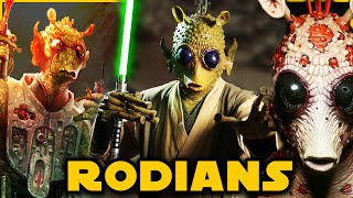 Rodian Greedo Species COMPLETE Breakdown Biology Culture amp History [upl. by Ardnuasal]