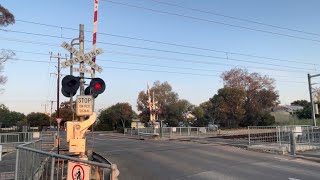 Maitland terrace railway crossing activation at sunset with  new gate lights [upl. by Nasas893]