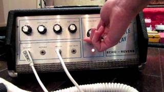 Fender Variable Delay Oil Can Echo Reverb TelRay Adineko [upl. by Nilkcaj]