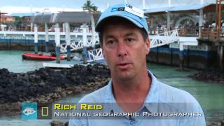 Galapagos with National Geographic Photographers Aboard [upl. by Allix24]