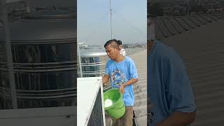 how to clean air conditioner outside unitservice AC outdoor [upl. by Mcgray]