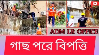 tree falling  গাছ পরে বিপত্তি  গাছ পরে যাবার সম্ভবনা  DISASTERMANAGMENT [upl. by Yderf]