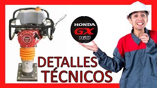 APISONADOR 55 hp MOTOR HONDA GX160 👷🔝 [upl. by Coe]