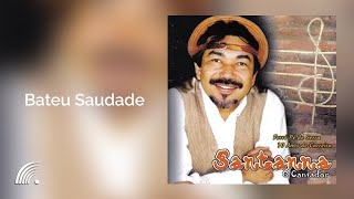 Santanna O Cantador  Bateu Saudade  10 Anos De Carreira Vol8 [upl. by Ambrosi661]