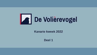 Kanarie kweek 2022 deel 1 [upl. by Hephzipah250]