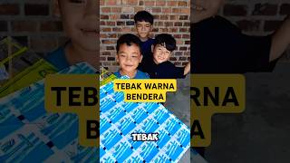 TEBAK WARNA BENDERA shorts varovlog tebak challenge funny fypyoutube [upl. by Corissa373]