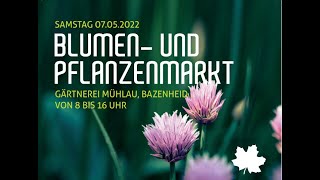 Blumen und Pflanzenmarkt • 7 Mai 2022 • GÄRTNEREI MÜHLAU BAZENHEID • Felix Gartenbau AG [upl. by Viglione]