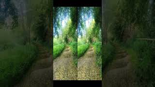 Stereoscopic 3D Hyperlapse [upl. by Marline633]