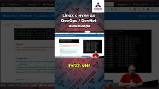 Осторожно ваши файлы могут исчезнуть навсегда Курс linux с нуля до devops  devnet инженера [upl. by Lurlene]