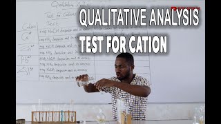 Qualitative Analysis of cation part 1 Chemistry Practicals [upl. by Onibag347]