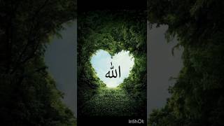 Allah name dp Islamic Dpz best dpzcollection dp forwhatsappInstragramFacebook dpviralshorts [upl. by Shara]