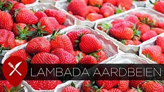 Lambada aardbeien van Beekers Berries [upl. by Enelyaj102]