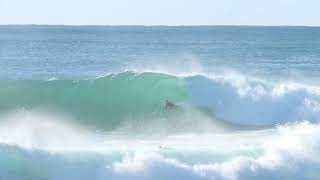 Surf Cowries Point South Coast NSW Jun2022 [upl. by Ynaffat]