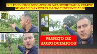 MANEJO DE AGROQUIMICOS EN CULTIVO DE MARACUYA [upl. by Nospmas22]