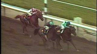 John Henry  1982 Santa Anita Hdcp [upl. by Guzel]