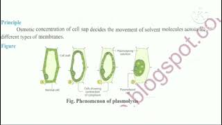 very important practical for 12th board practical examTo study of plasmolysis epidermal peel [upl. by Nileuqaj142]