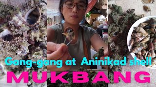 Vlog 19  Mukbang ng Ganggang at Aninikad Shell  ASMR  BOHOL Island Experience [upl. by Waly]