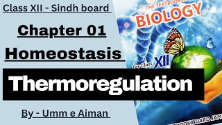 Thermoregulation  Hypothermia and Hyperthermia  Homeostasis Class XII  Sindh board  Umm e Aiman [upl. by Felder]