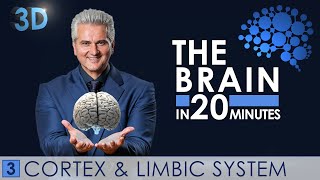 3D  The Brain in 20 minutes  03 │ Cortex amp Limbic System │ Dr Dr Damir del Monte │ Encephalon [upl. by Notserk164]