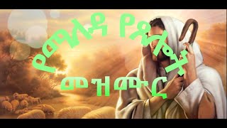 Betelhem Tezera  Nafekegn  ቤተልሔም ተዘራ  ናፈቀኝ [upl. by Aneroc]