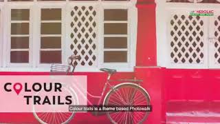 Hawa Mahal Jaipur  Nerolac Colourtrails Wall Design Paint [upl. by Annairol795]