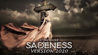 Enigma  Sadeness Part 1 Cover by Igor Gorelov 2020💖 [upl. by Ecital]