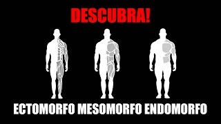 ECTOMORFO MESOMORFO E ENDOMORFO  ENTENDA OS SHAPES DE MAROMBA [upl. by Iggy]