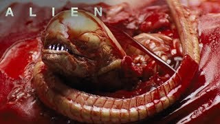 Alien  Iconic Chestburster Scene  ALIEN ANTHOLOGY [upl. by Vachil]