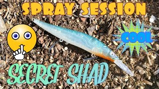 Megabass Blank Secret Shad [upl. by Elohcan]