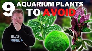 9 Plants to AVOID in your Aquarium  Beginner Aquarium Plant Guide [upl. by Vi]