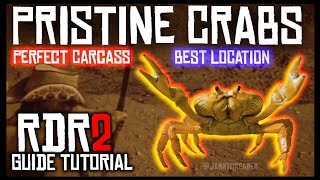 WHERE TO FIND PRISTINE CRABS AND GET PERFECT CARCASS IN RED DEAD REDEMPTION 2 [upl. by Emawk]