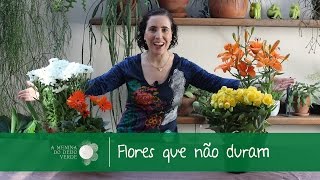 Flores que Não Duram [upl. by Sel]