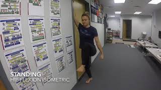 Standing Hip Flexion Isometric [upl. by Waal]